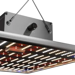 Caluma Force LED 150W