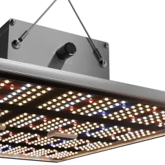 Caluma Force LED 240W