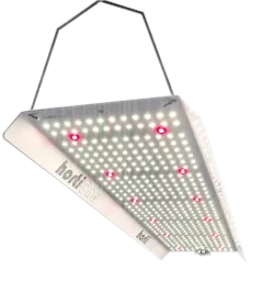 hortiONE 420 V3 LED, inkl. Netzteil, 150W