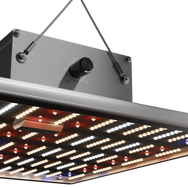 Caluma Force LED 150W