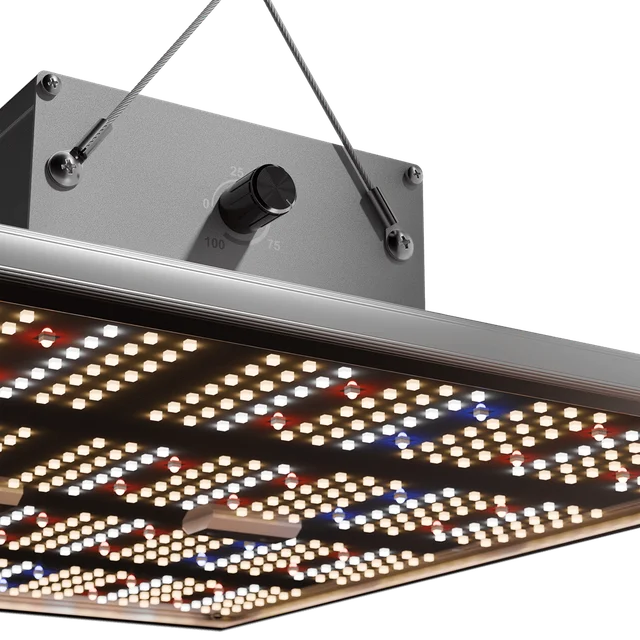 Caluma Force LED 240W
